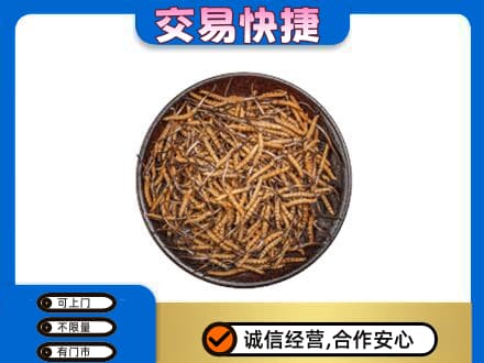 梁山县回收散虫草